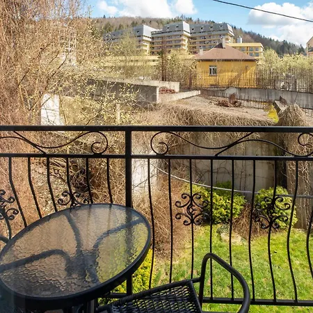 Radosc Krynica Zdroj