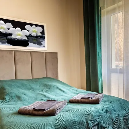 Radosc Krynica Zdroj